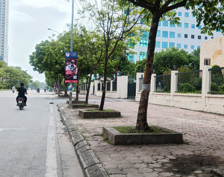 Thiết kế cải tạo cây xanh cảnh quan gói thầu: Trồng bổ sung cây xanh, cây mảng, khóm do sở xây dựng thực hiện theo kế hoạch số 76/KH-UBND ngày 08/3/2023 của UBND thành phố