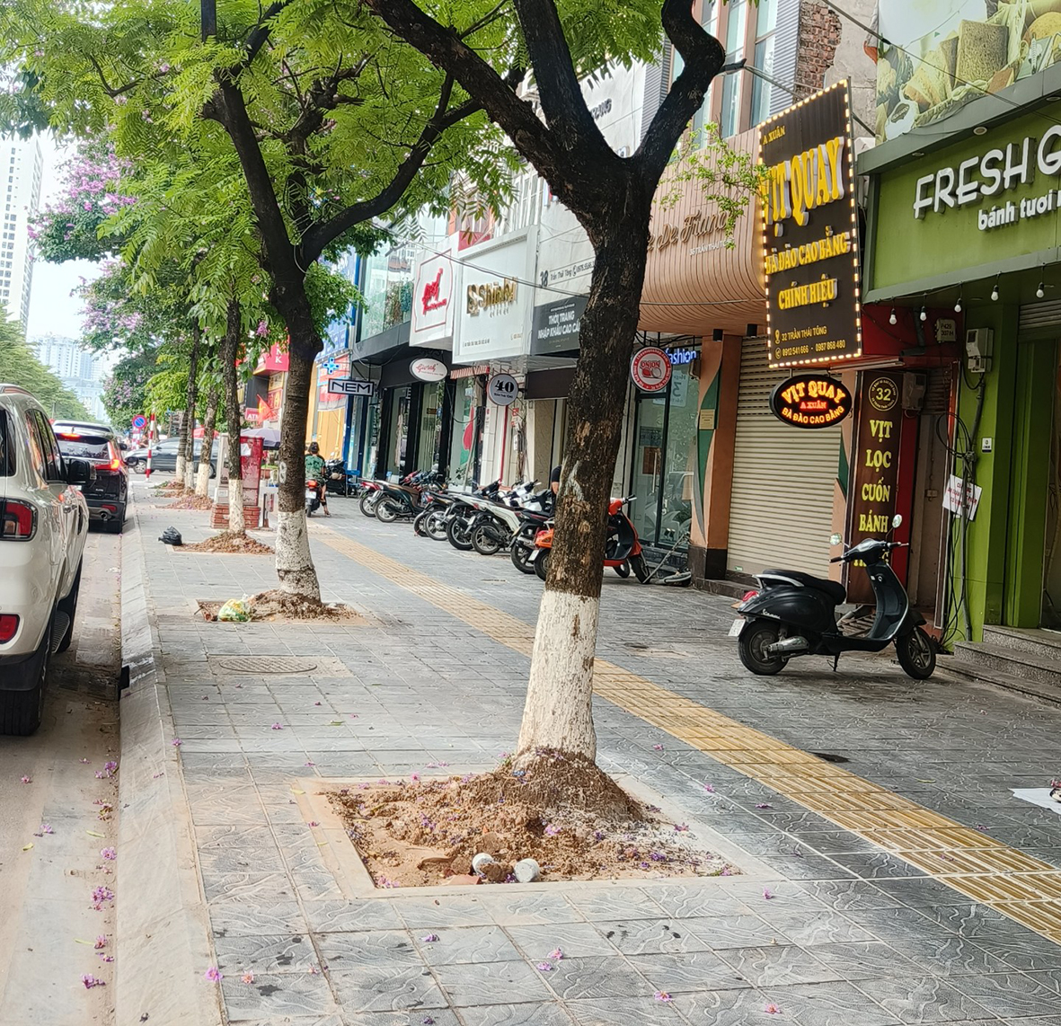 Thiết kế cải tạo cây xanh cảnh quan gói thầu: Trồng bổ sung cây xanh, cây mảng, khóm do sở xây dựng thực hiện theo kế hoạch số 76/KH-UBND ngày 08/3/2023 của UBND thành phố