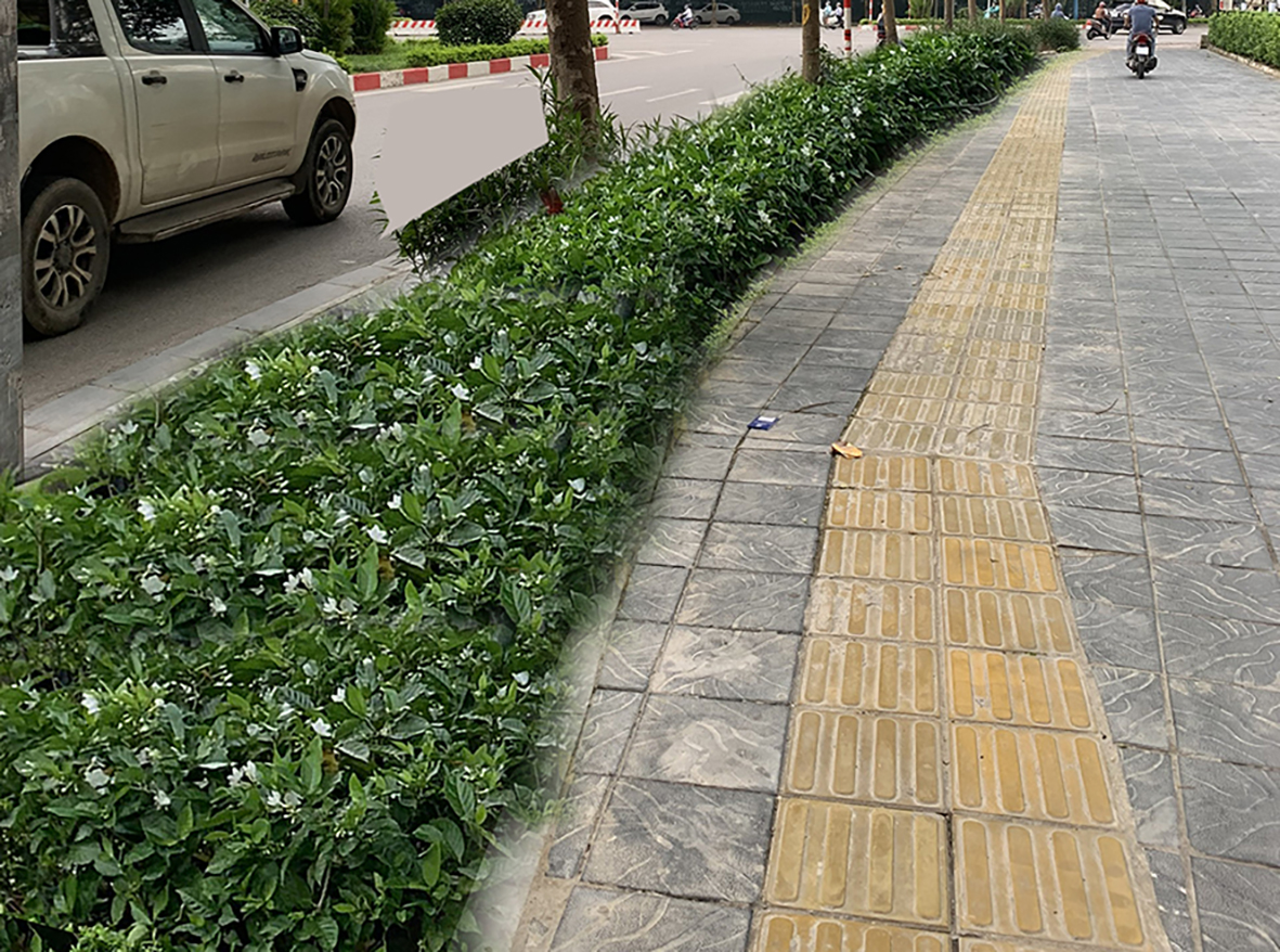 Thiết kế cải tạo cây xanh cảnh quan gói thầu: Trồng bổ sung cây xanh, cây mảng, khóm do sở xây dựng thực hiện theo kế hoạch số 76/KH-UBND ngày 08/3/2023 của UBND thành phố